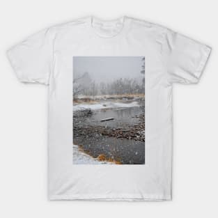 RMNP Winter Study 9 T-Shirt